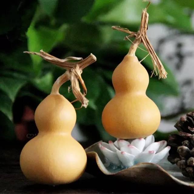 阳光小炘
