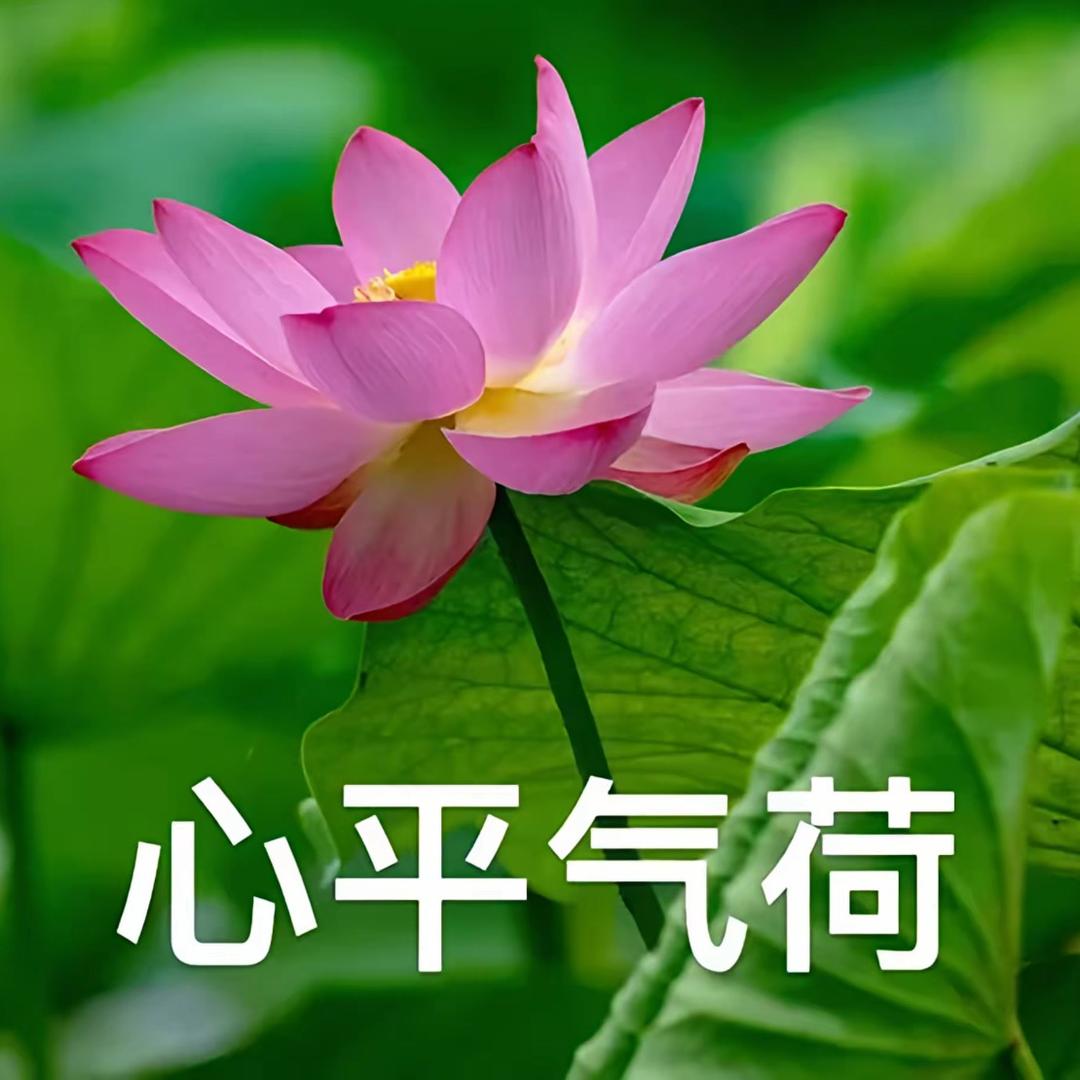 宁静致远1