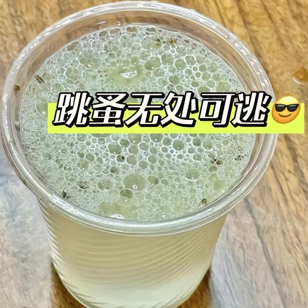跳蚤鸡虱螨虫