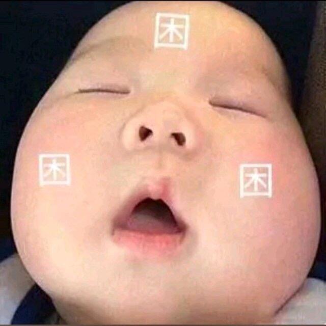 喵了个喵