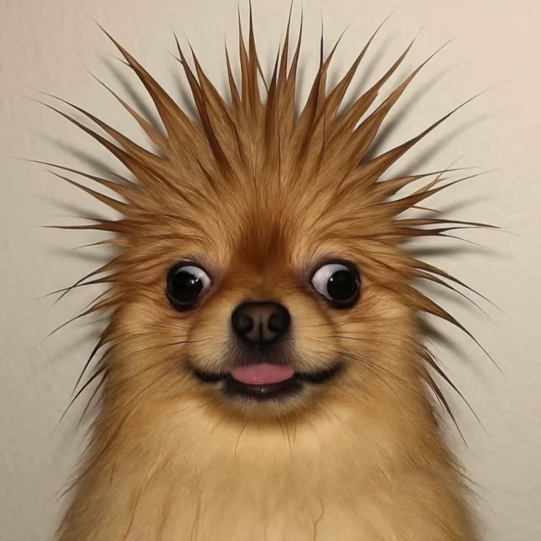 L：