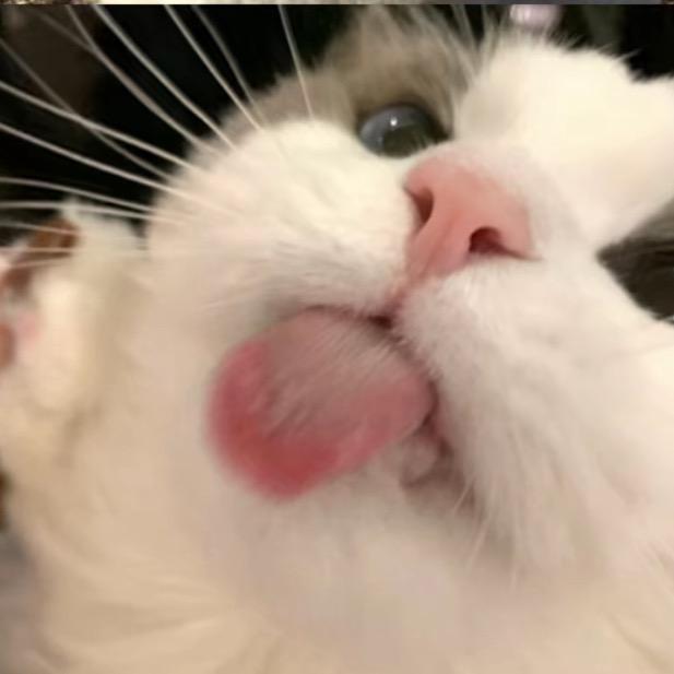 1格