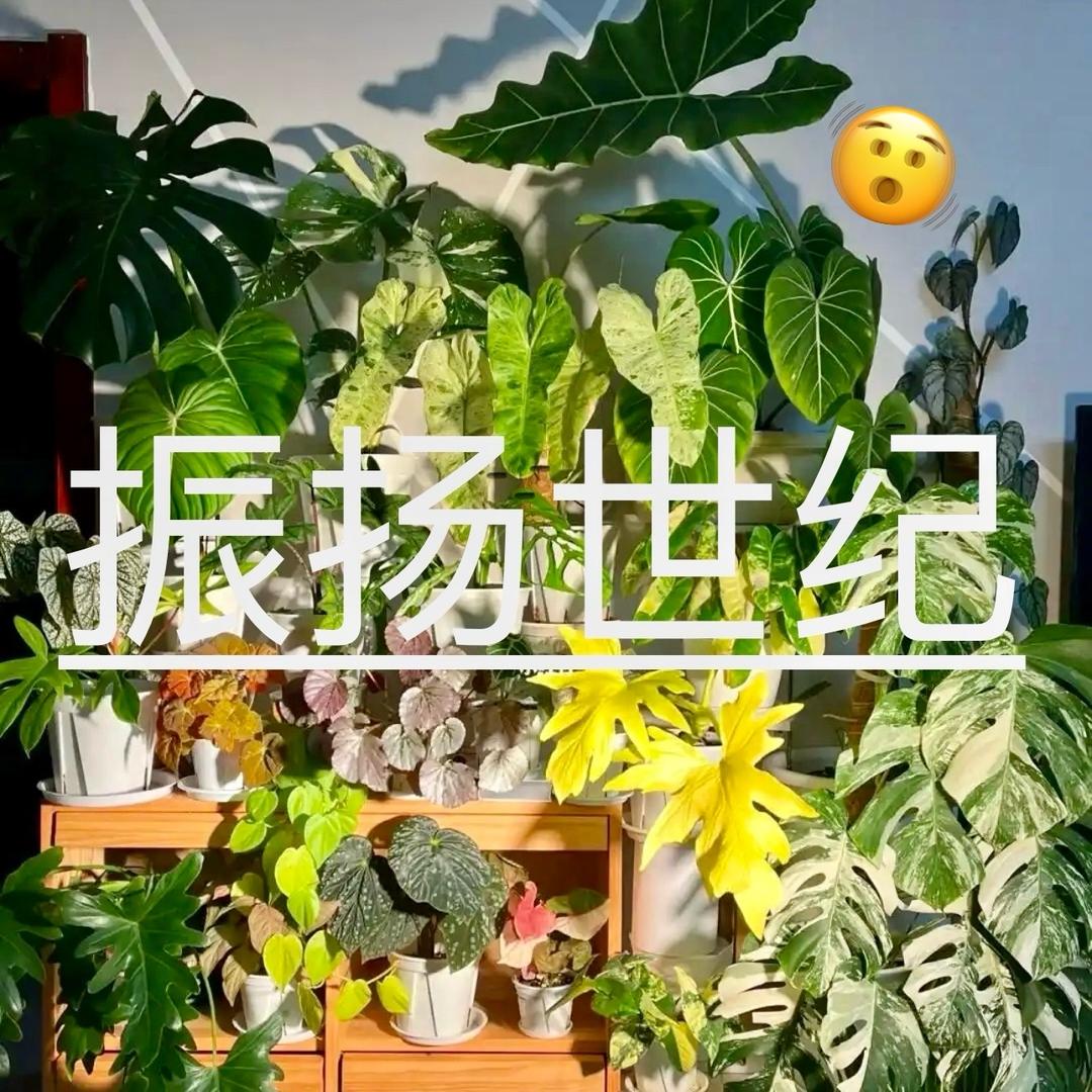 振扬世纪植物补光灯