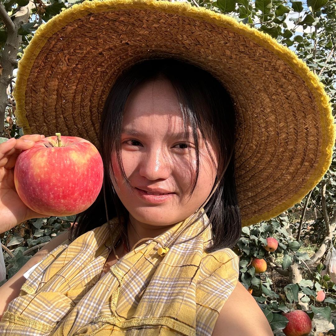 新疆秦脆小果园