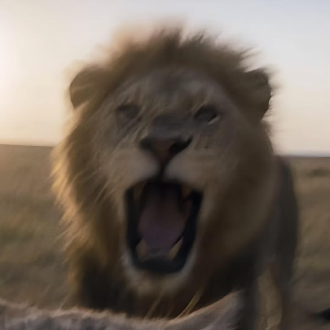 王老师の数学飞升