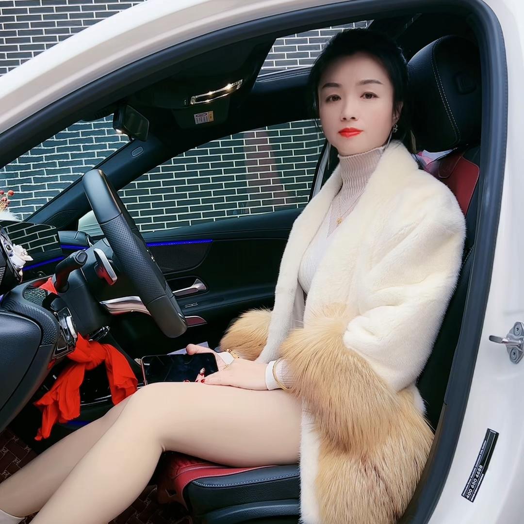 重庆的燕子