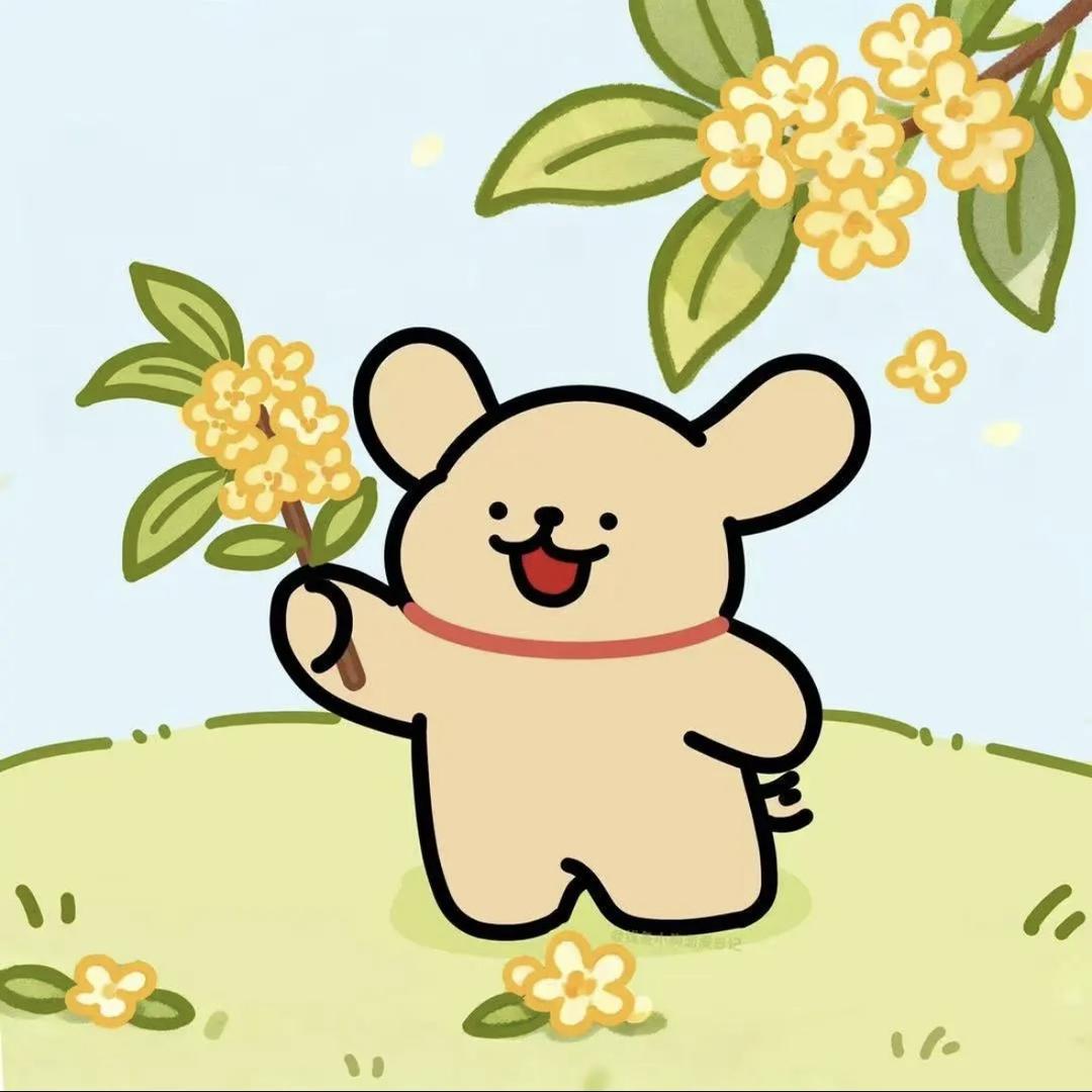 明天我要去冰岛.