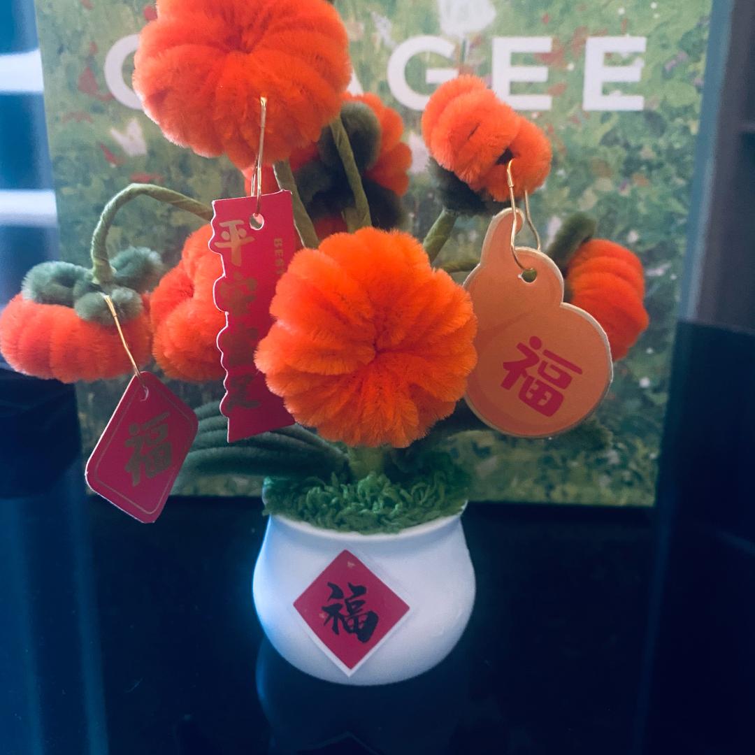 爱吃肉的小兔籽