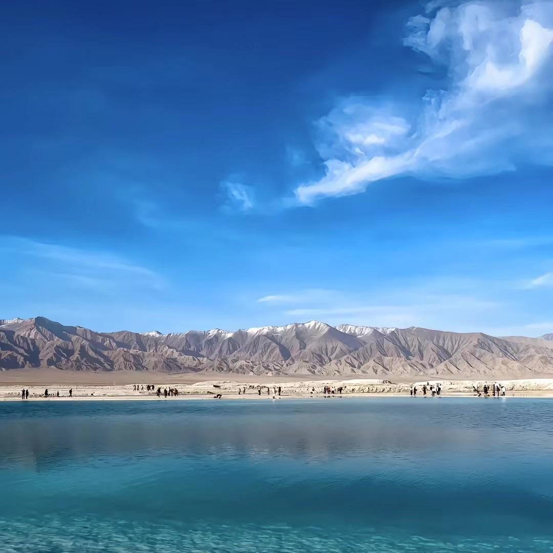 流氓兔.&