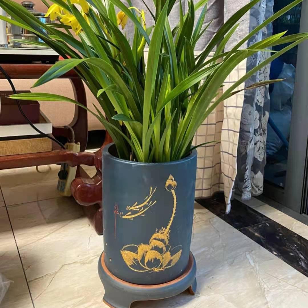君玥紫砂花盆甄选