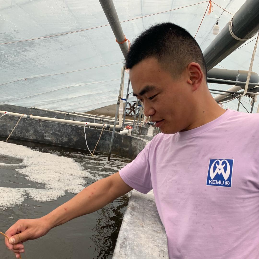 小马哥在努力