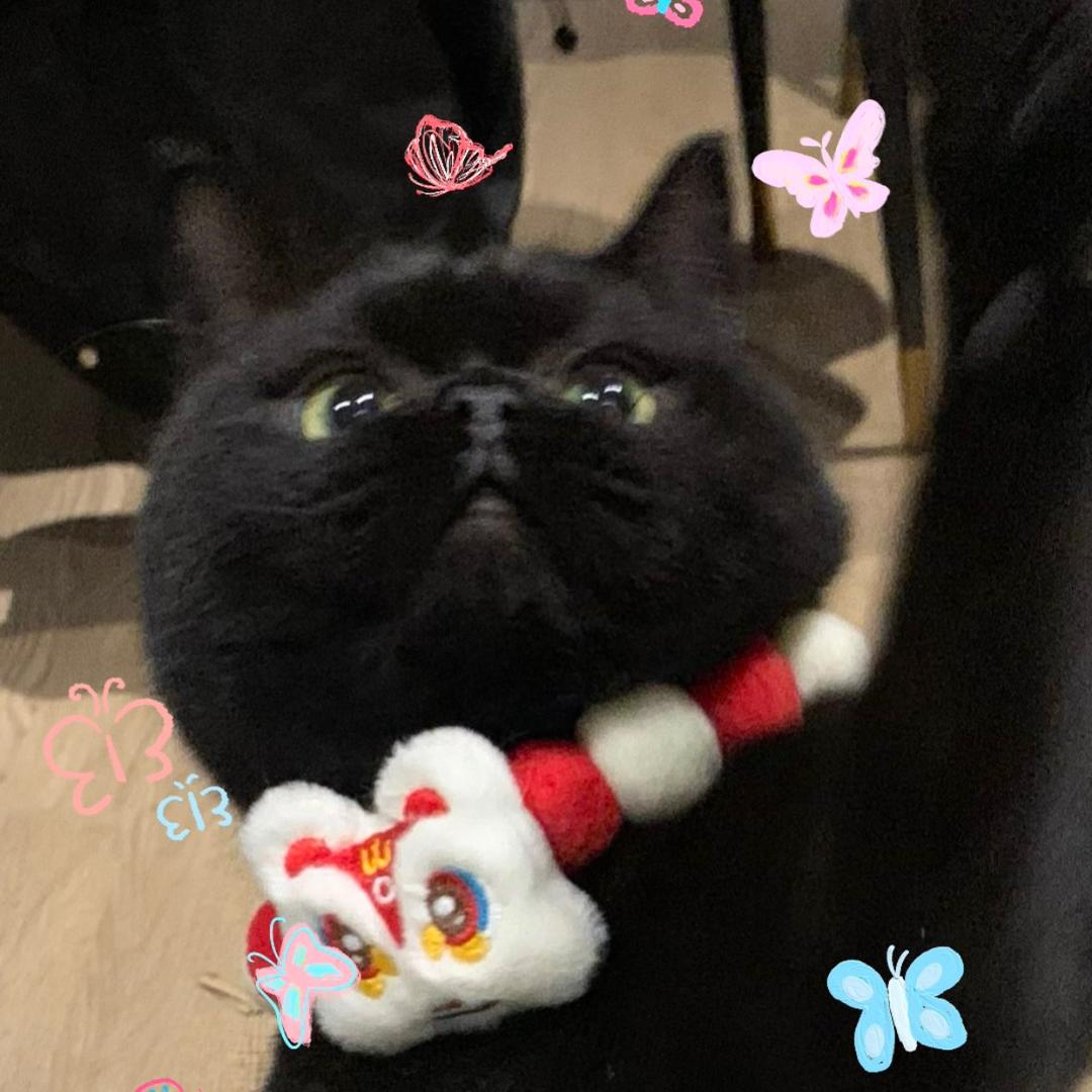 叽