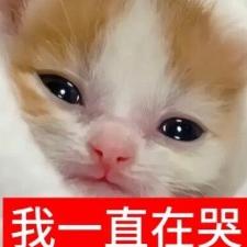 爆炸弓