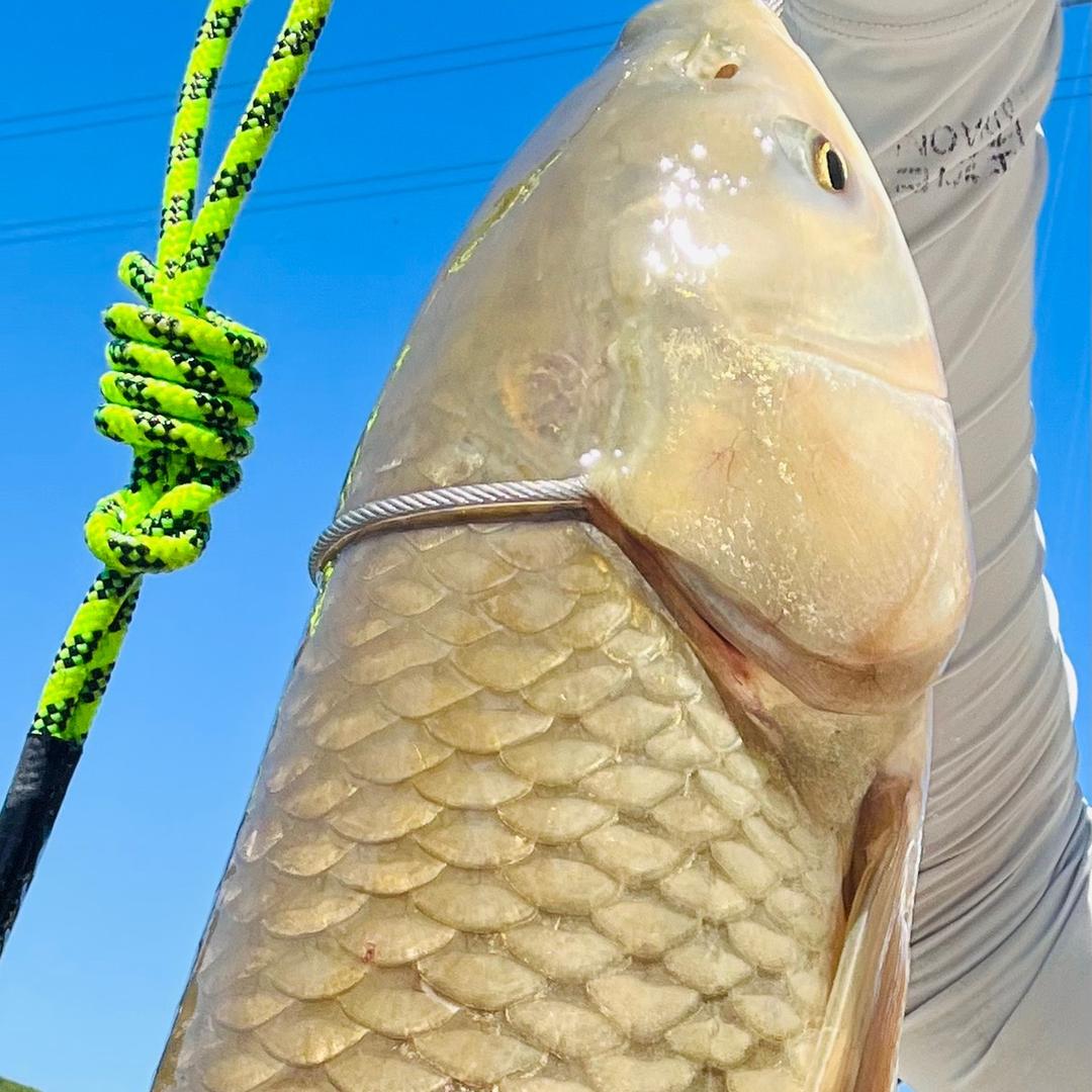 何以解忧唯有钓鱼