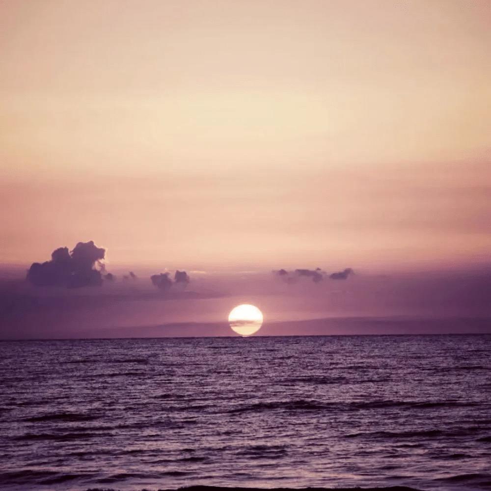 sdtgdfhfyhzz直播号