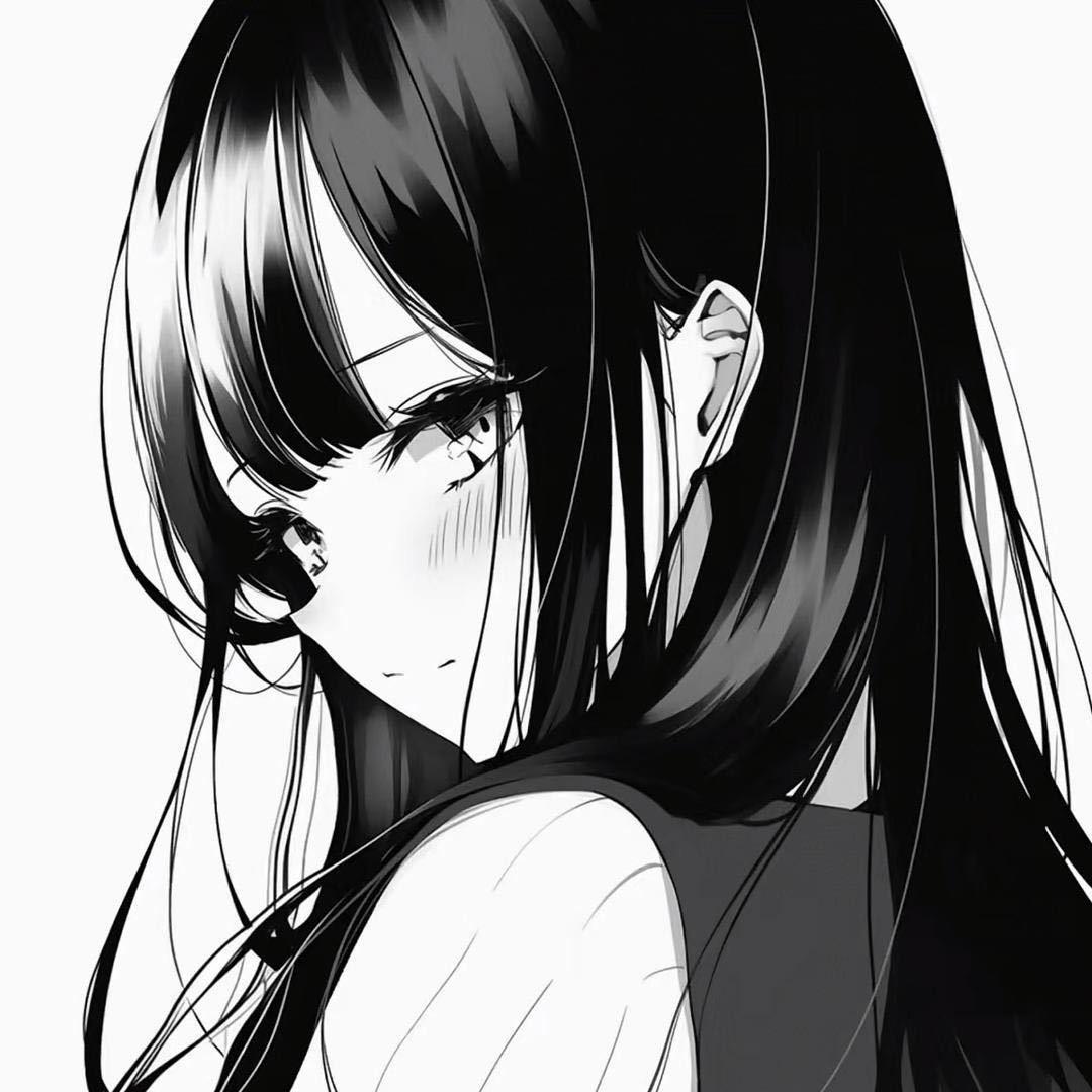 兔宝