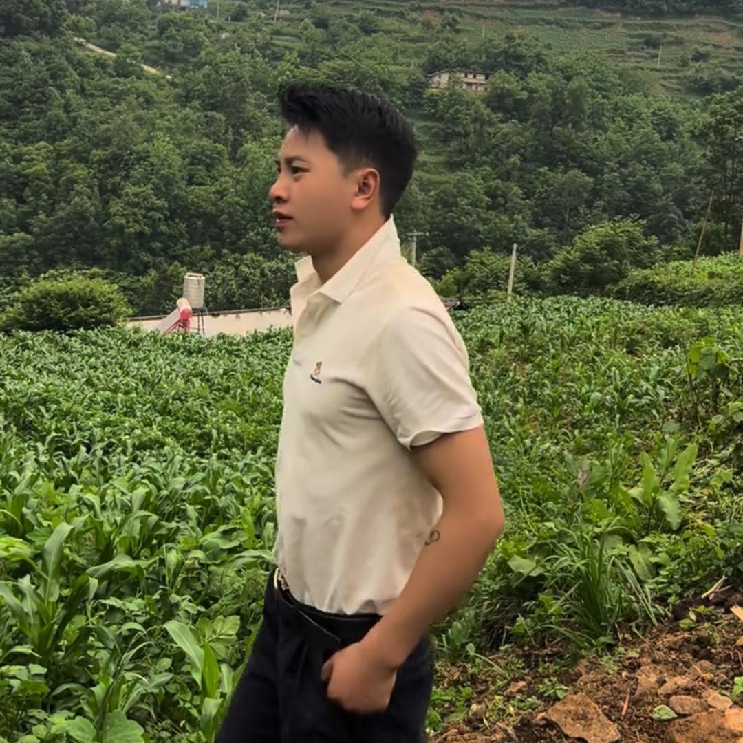 菜老板