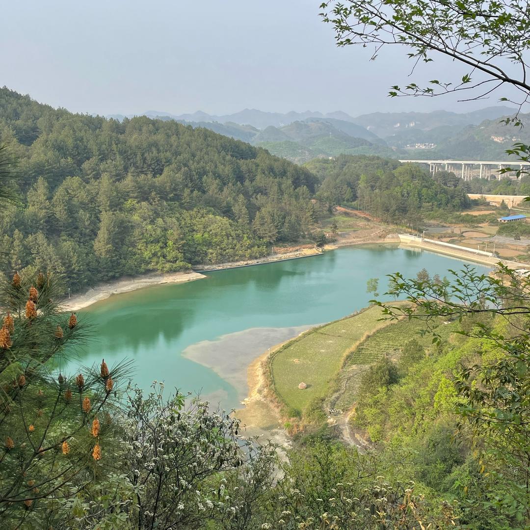 黔农野山珍