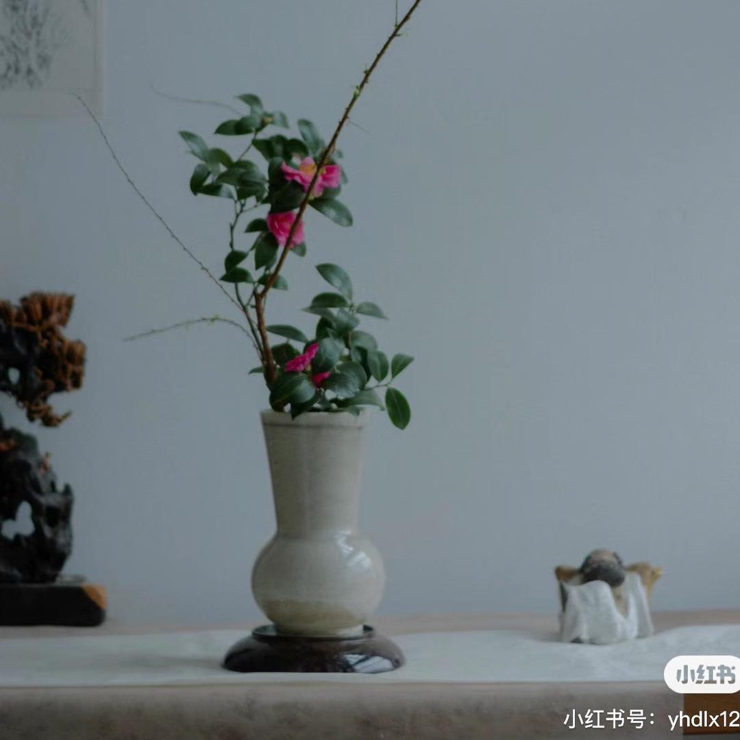 瓶花小世界