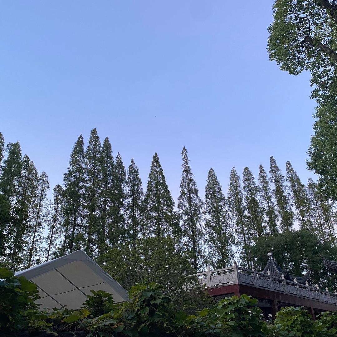 米粒