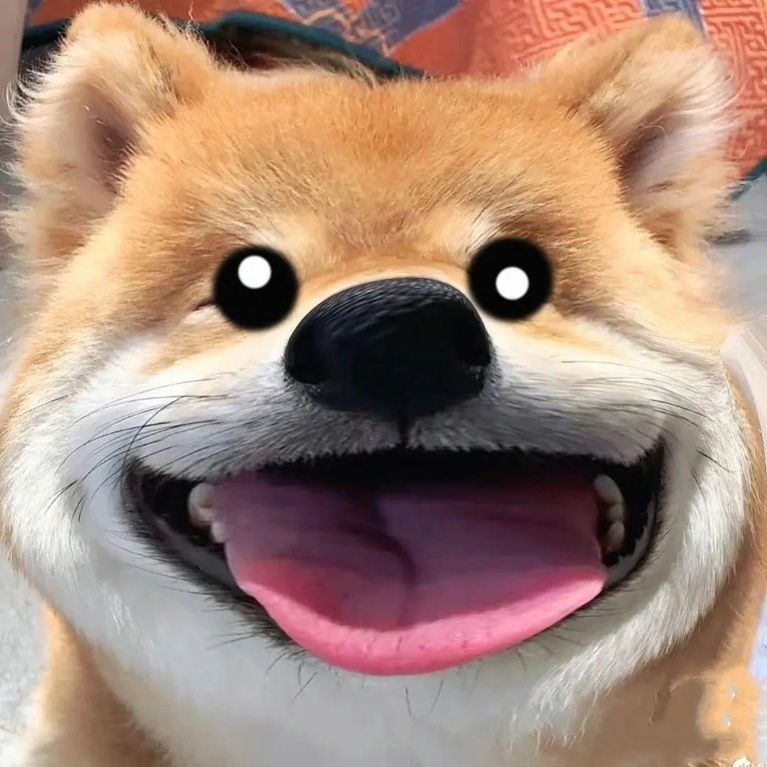 嘎嘎哈哈