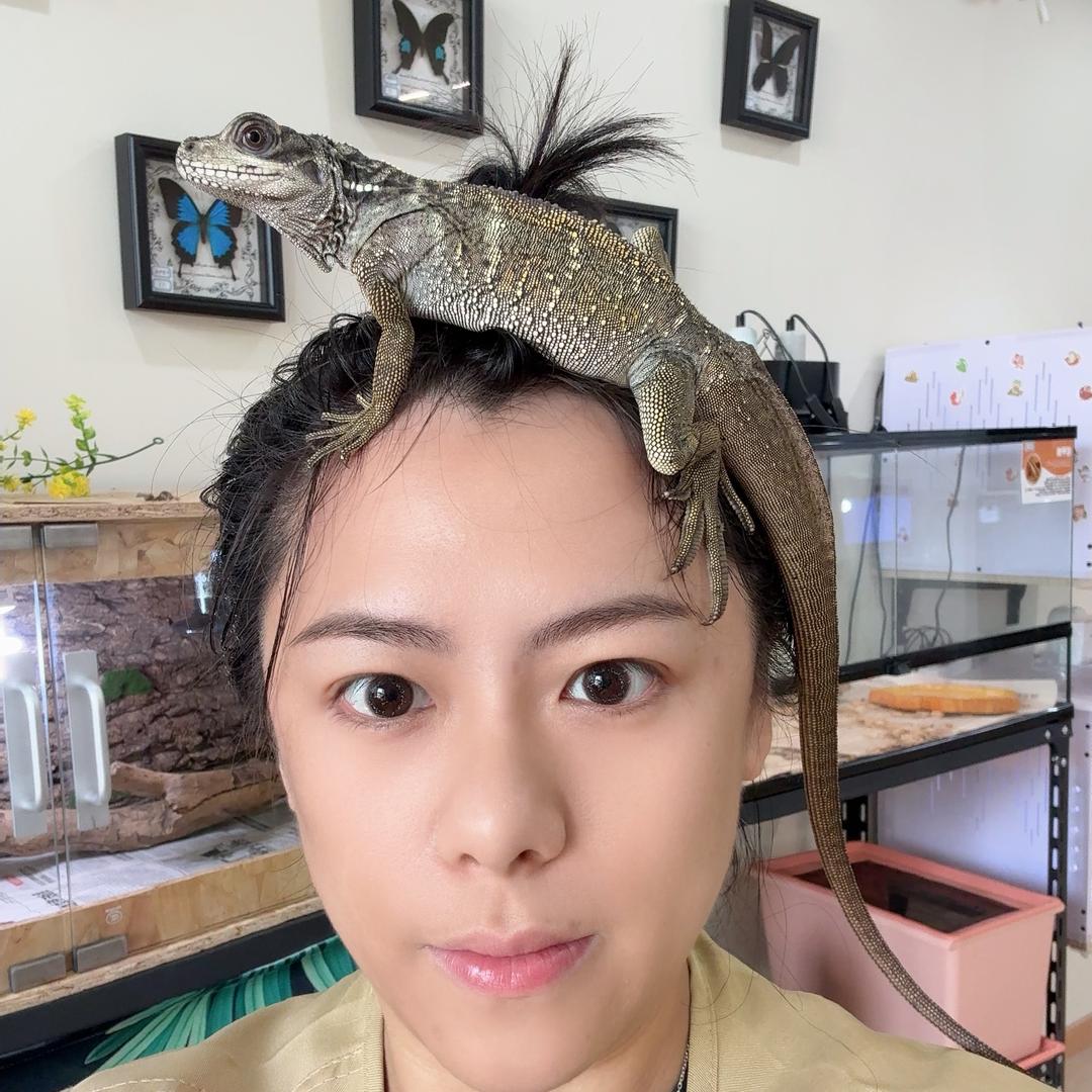 爱玩爬的刘胖虎