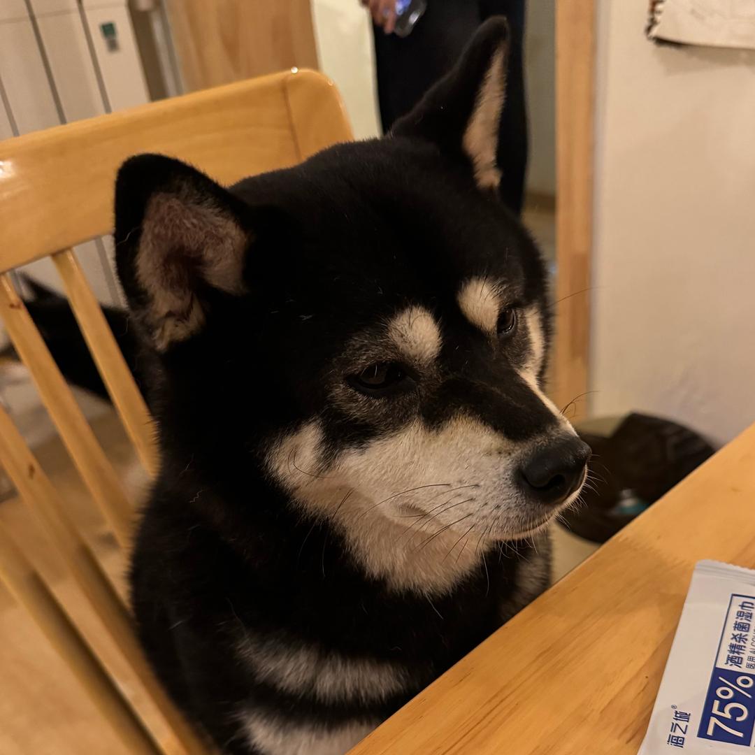 Vv小天