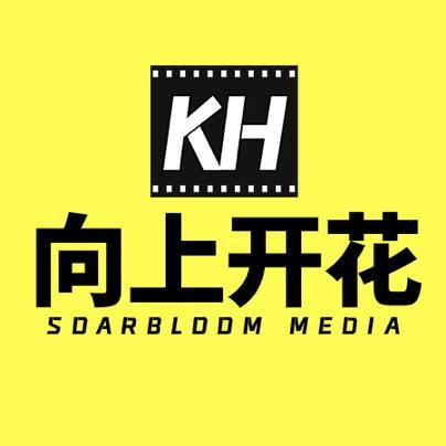 向上开花传媒