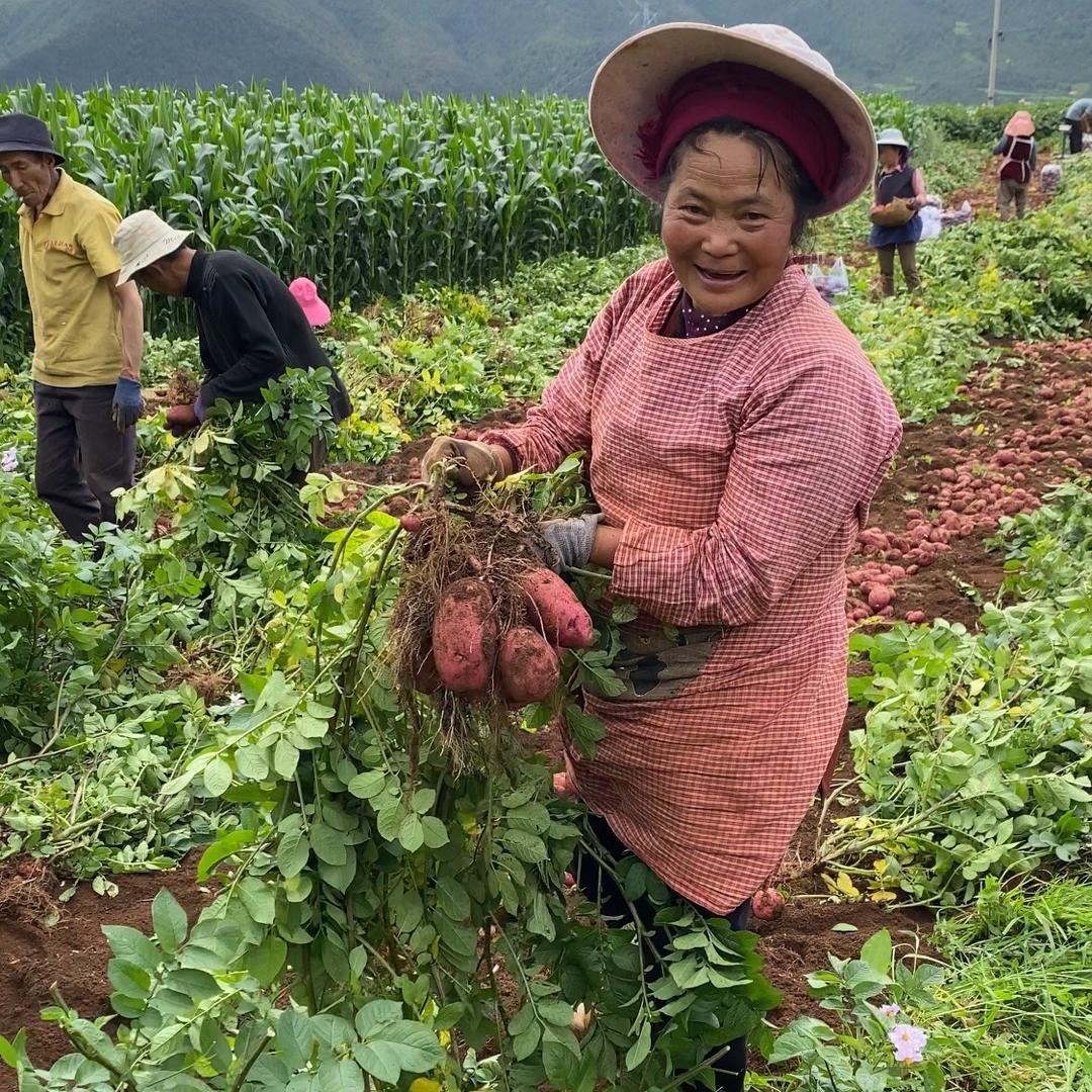 小黑泥果蔬