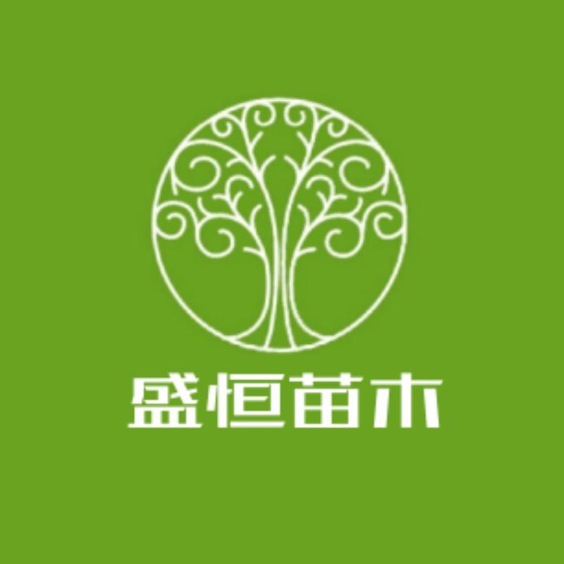 盛恒果树苗木专营店