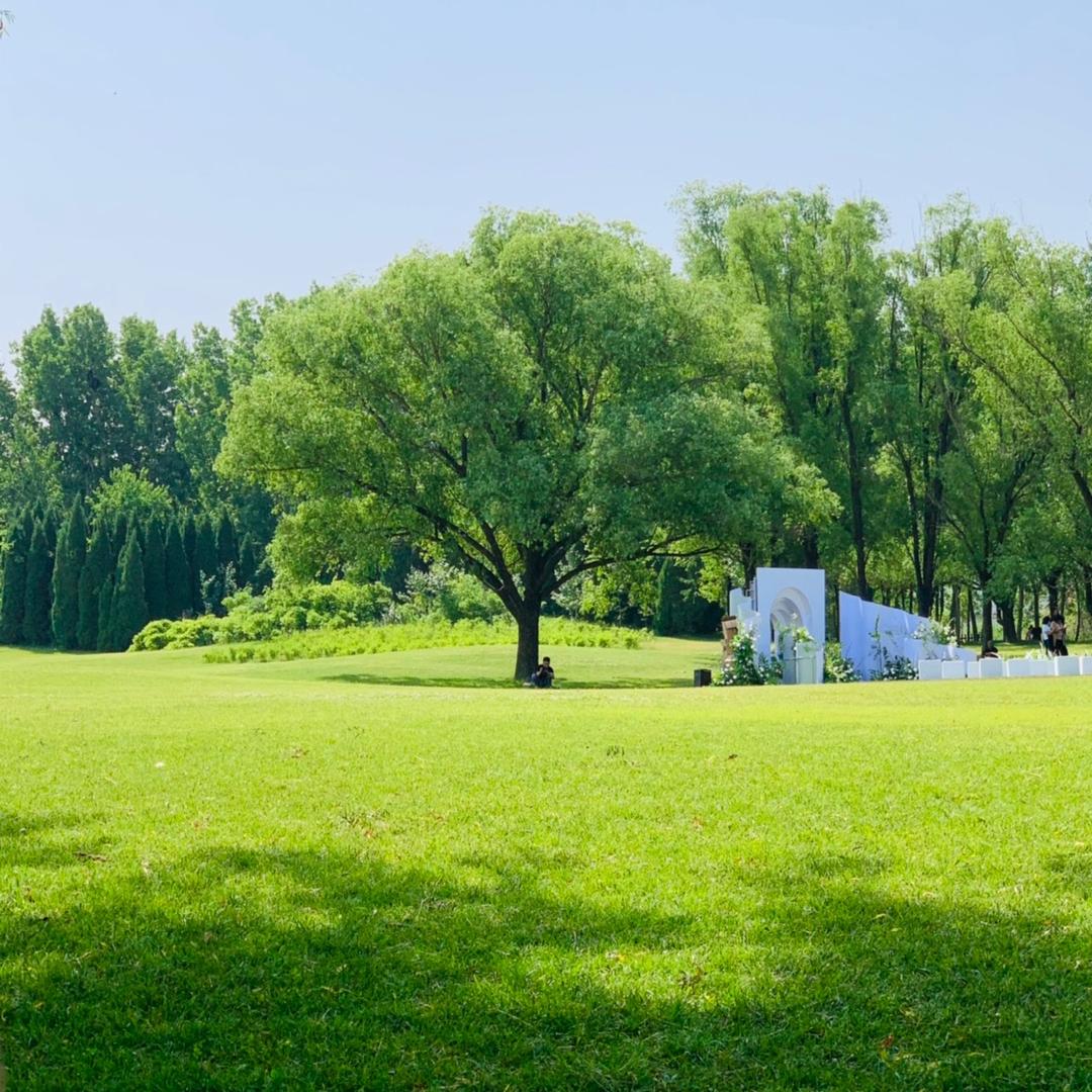 用户24280363590斗地主