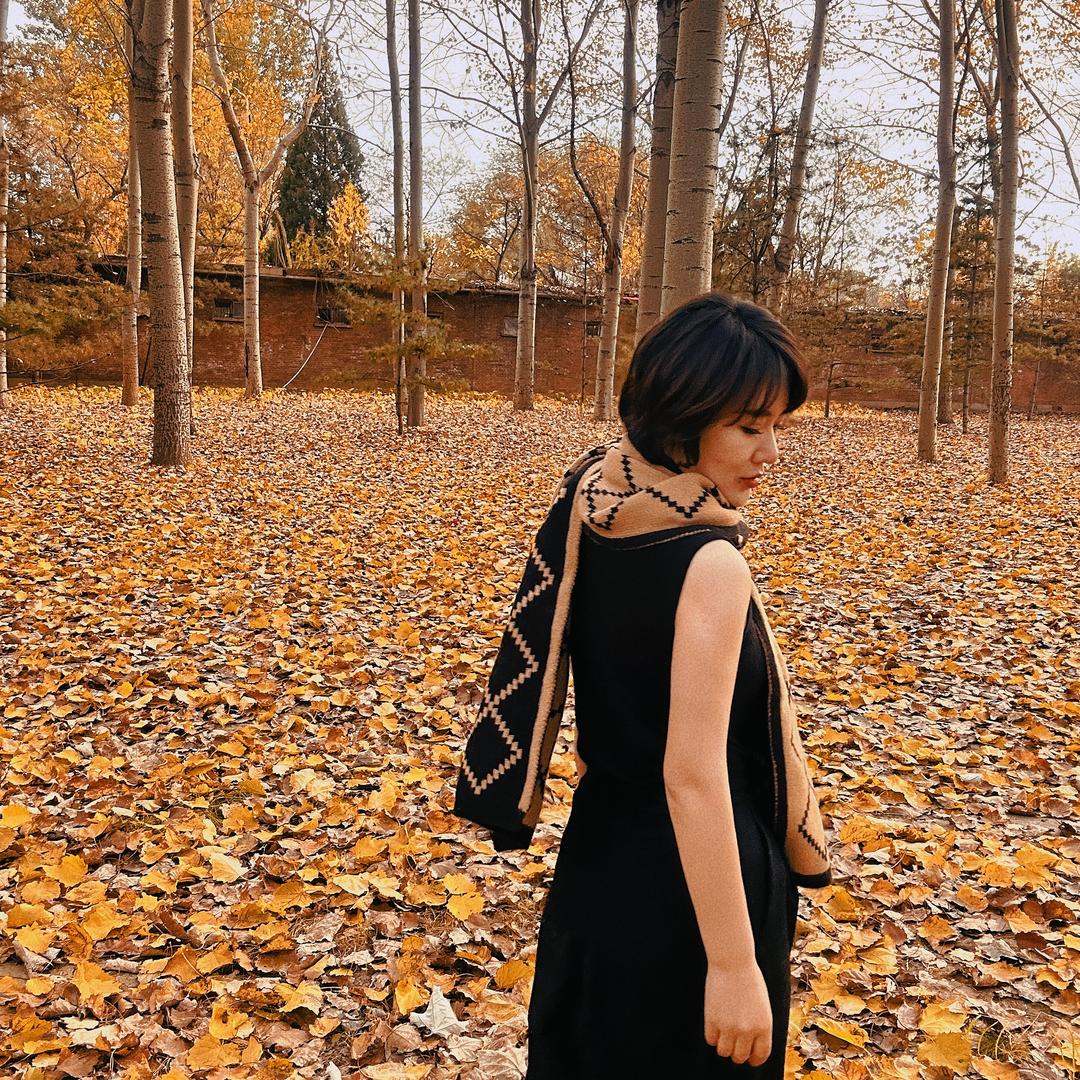 🍀吸金小能手🍀