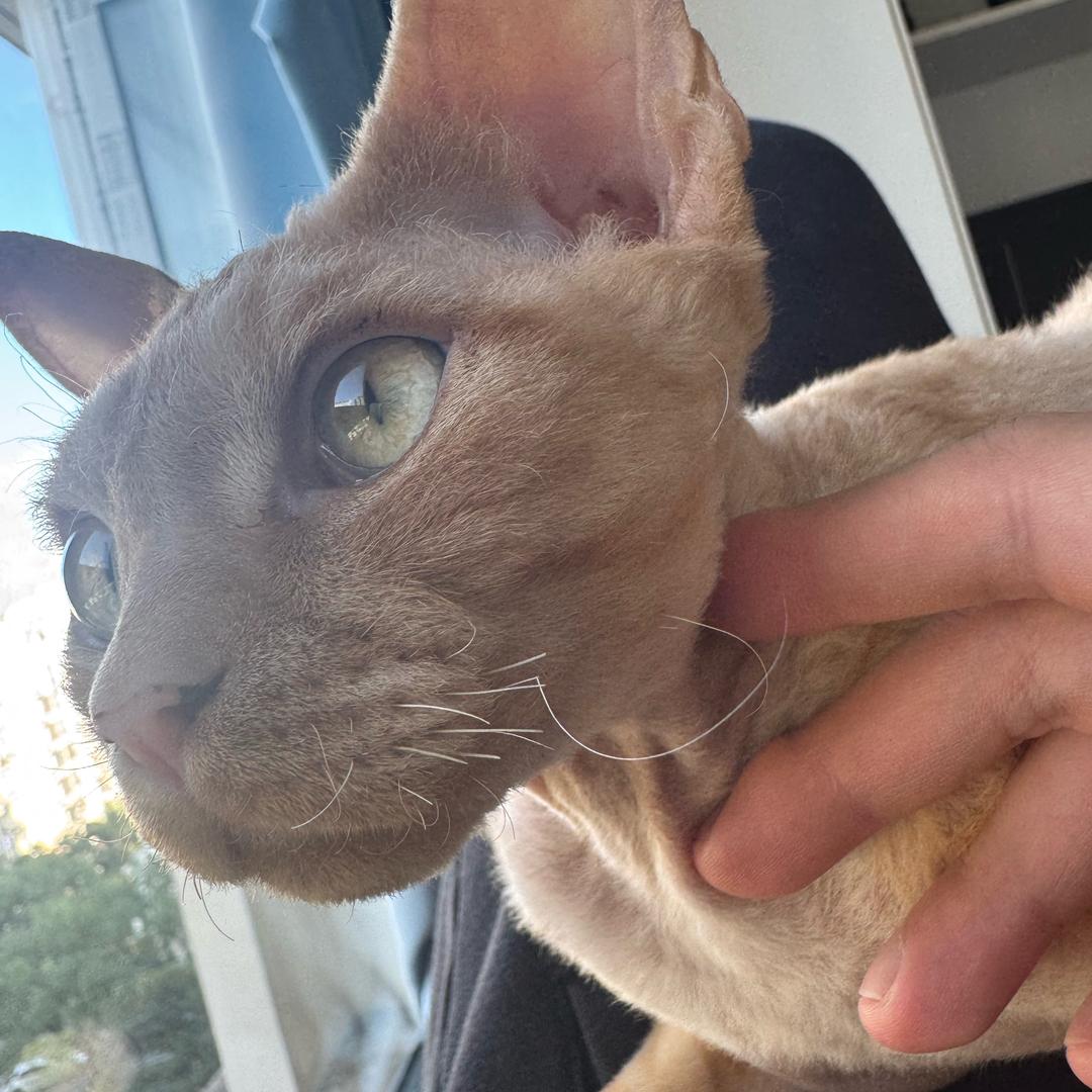 超超超超超超🇨🇳