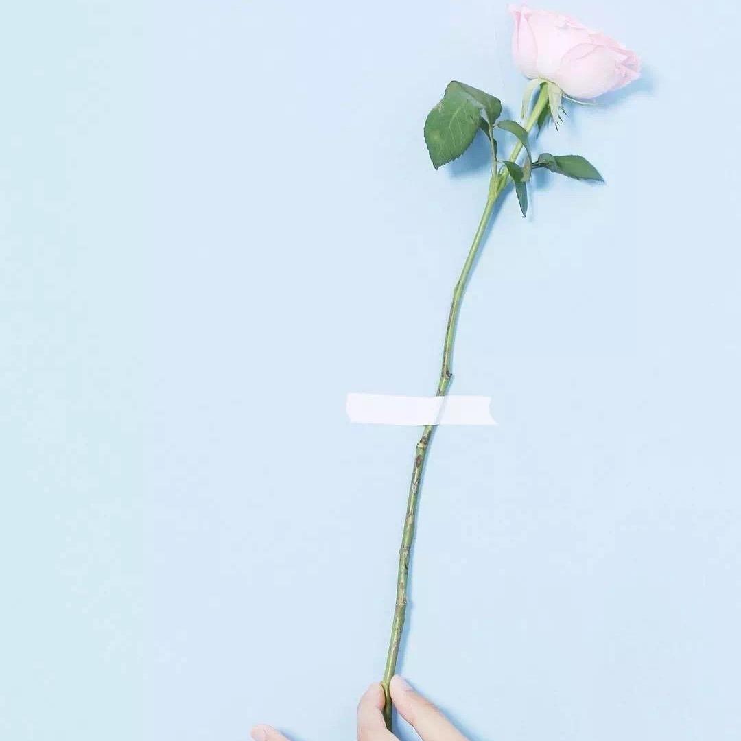 小柒🌻