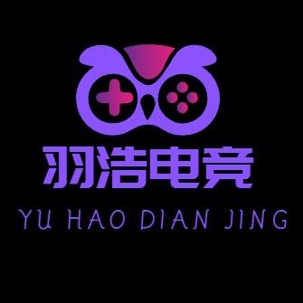 羽浩电竞工作室