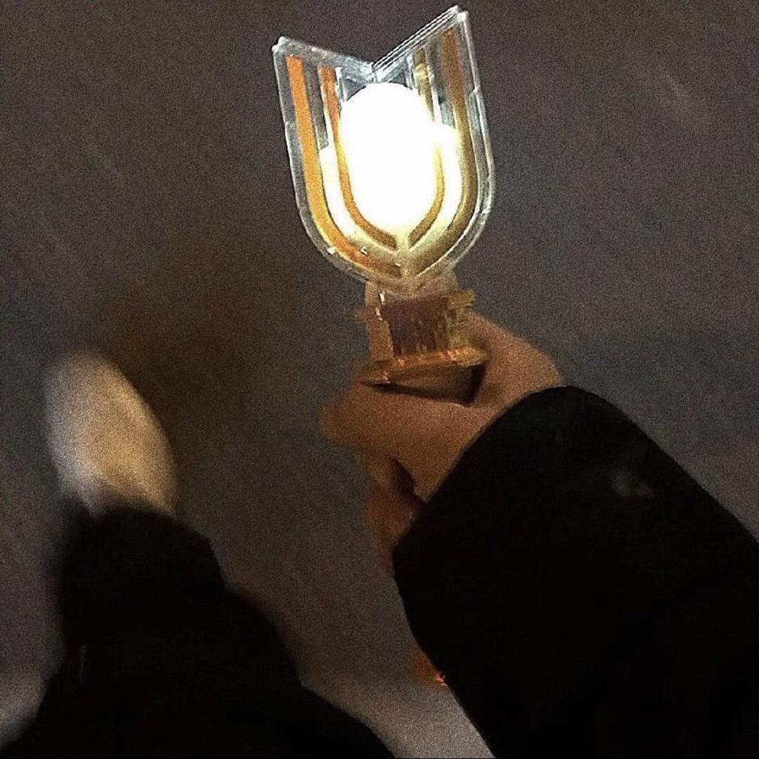 瑞丽市宰兰英商贸商行