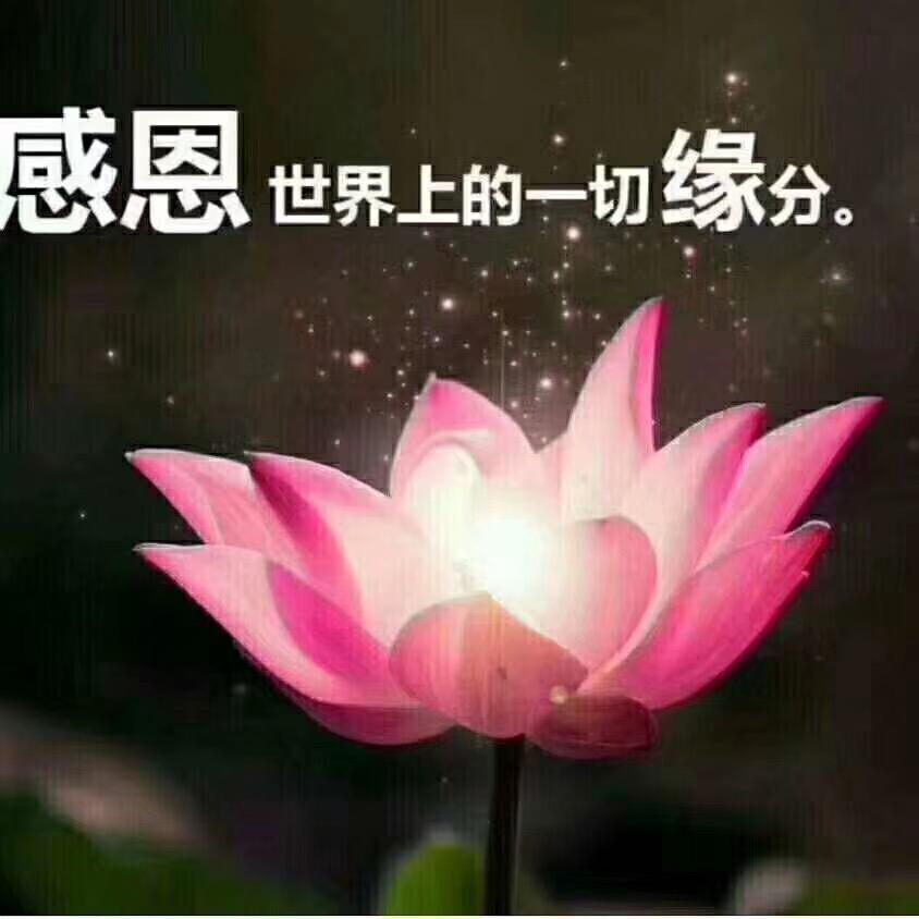 馨逸
