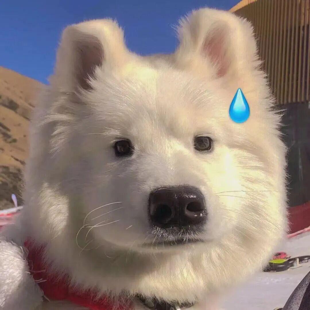 @林楠./