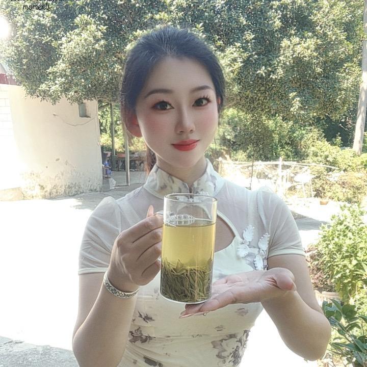 陶昕的信阳毛尖茶园