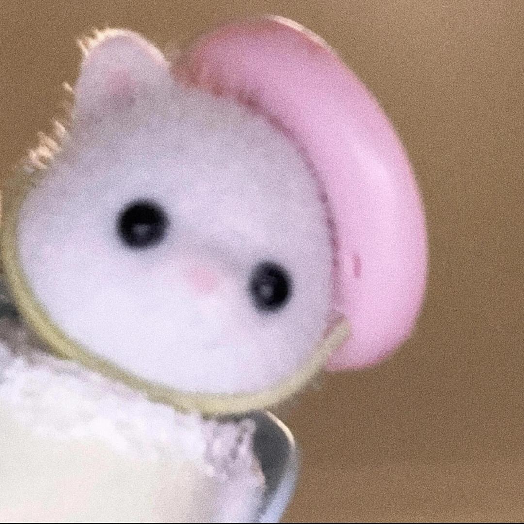 今日份小娇.