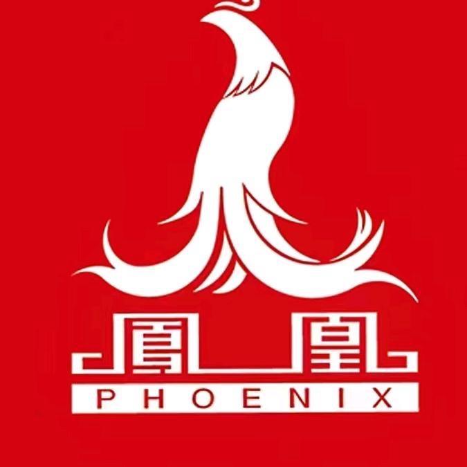 凤凰FENG HUANG丰安童车专卖店