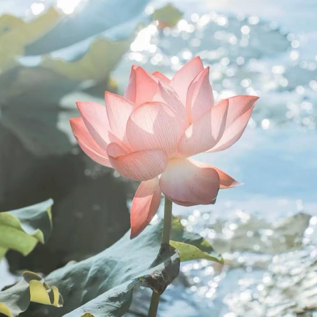 岁月静好