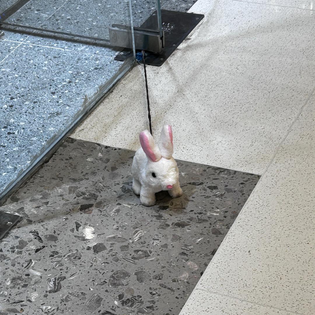 惠子（直播变现）