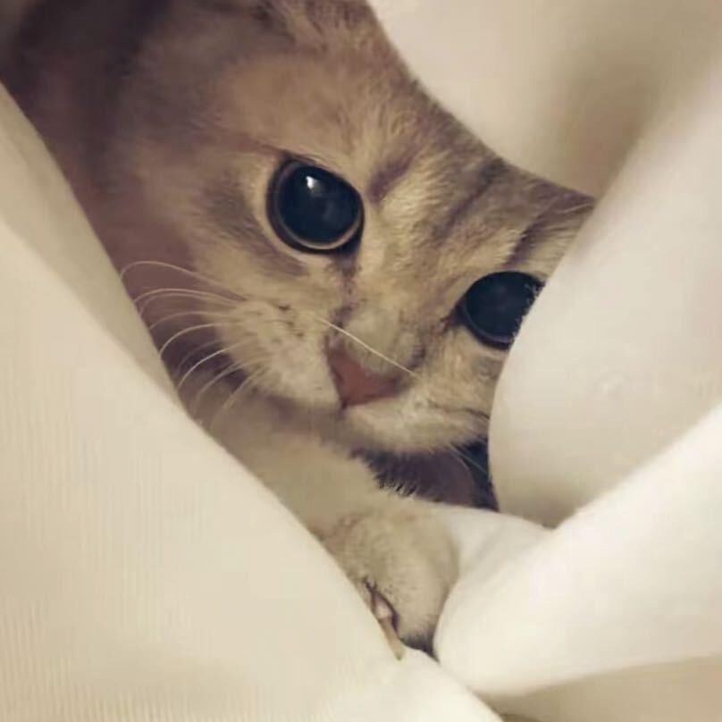 💤