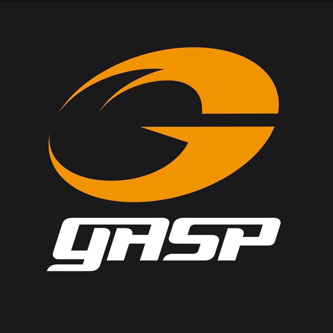 GASP盖世璞