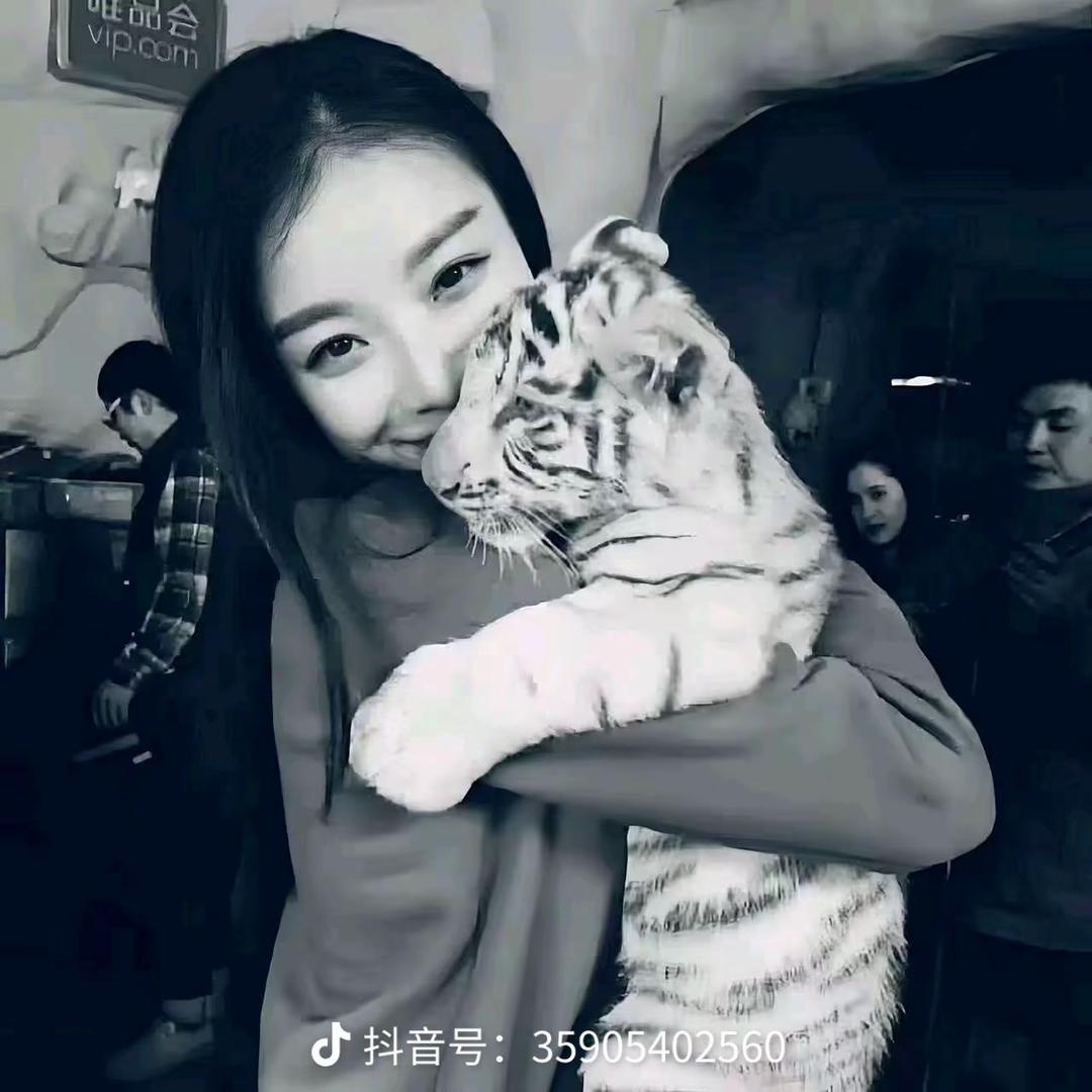海绵饱饱