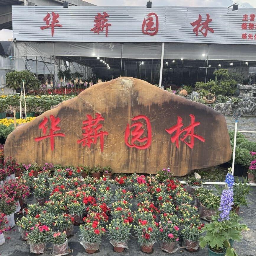 中山华薪园林