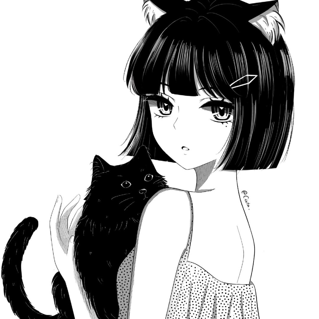 小浣熊🐻（来财版
