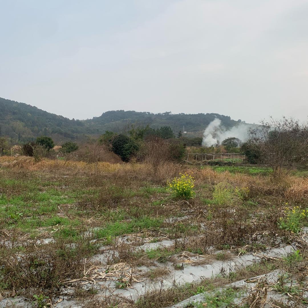 大学生说药材