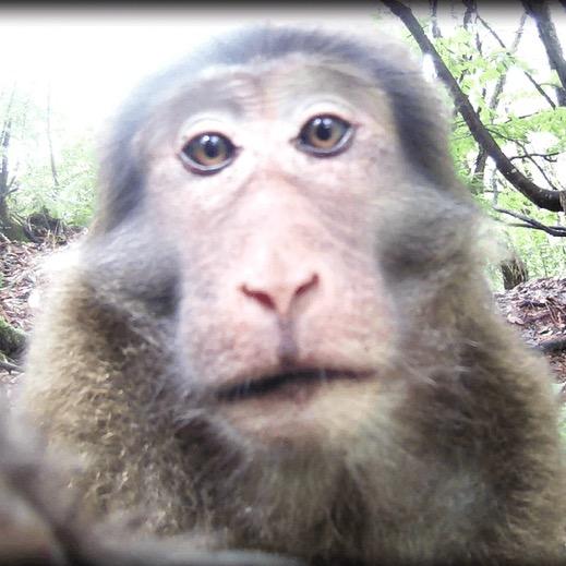 我落泪情绪零碎